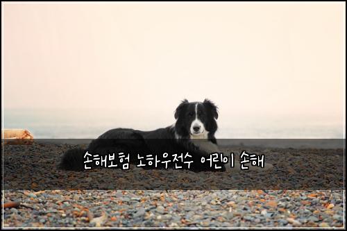 ์ํด๋ณดํ ๋
ธํ์ฐ์ ์ ์ด๋ฆฐ์ด ์ํด