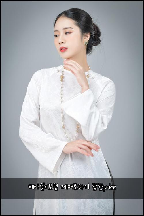 태아실비보험 제대로하기  참한price