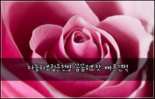 ์๋์ฐจ๋ณดํ์ด์ ๋ณ ๊ผผ๊ผผํ๋ณด์ฃ ๋น ๋ฅธ๊ฒฌ์ 