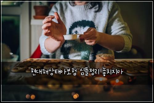 현대해상태아보험 심플정리  놓치지마