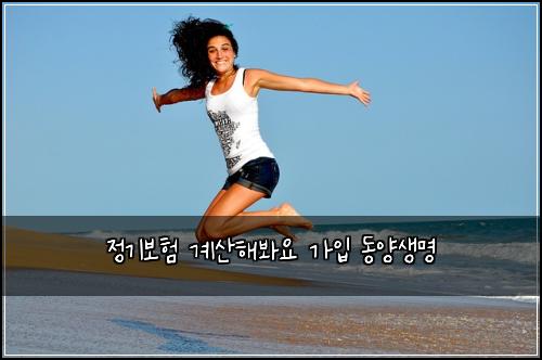 정기보험 계산해봐요  가입 동양생명