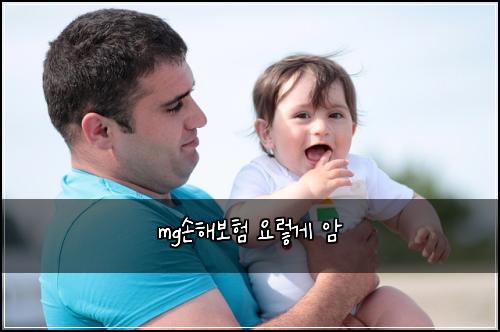 mg손해보험 요렇게  암