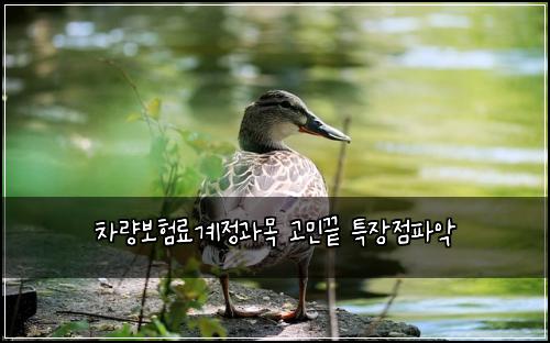 차량보험료계정과목 고민끝 특장점파악