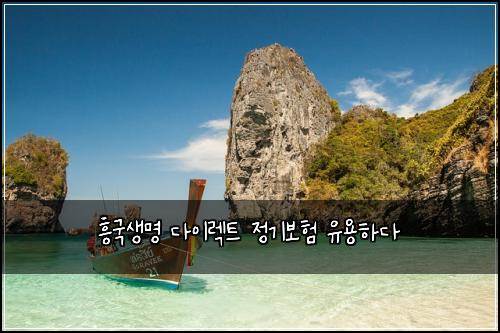 흥국생명 다이렉트 정기보험 유용하다 