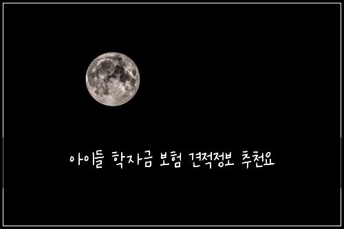 아이들 학자금 보험 견적정보  추천요