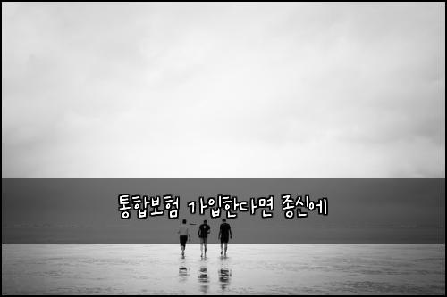 ํตํฉ๋ณดํ ๊ฐ์
ํ๋ค๋ฉด ์ข
์ ์