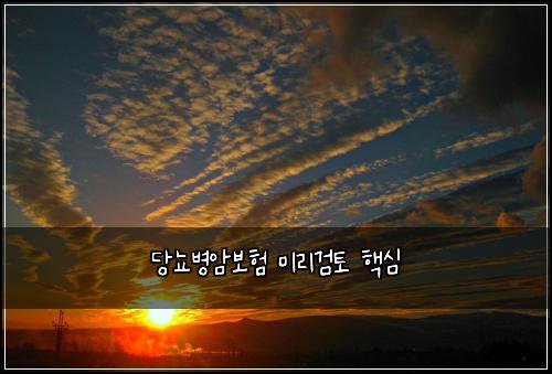 ๋น๋จ๋ณ์๋ณดํ ๋ฏธ๋ฆฌ๊ฒํ ํต์ฌ