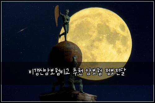 ๋น๊ฐฑ์ ์๋ณดํ๋น๊ต ์ถ์ฒ ์๋ณดํ ์ ๋ณด์ ๋ฌ