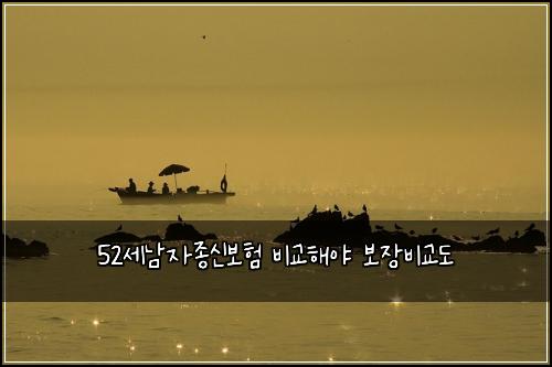 52세남자종신보험 비교해야  보장비교도