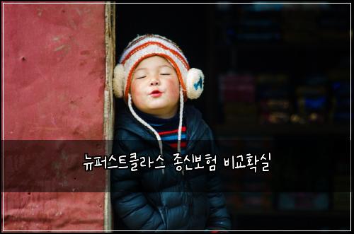 뉴퍼스트클라스 종신보험 비교확실 