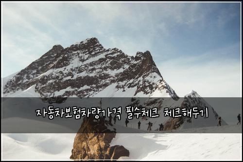 자동차보험차량가격 필수체크 체크해두기