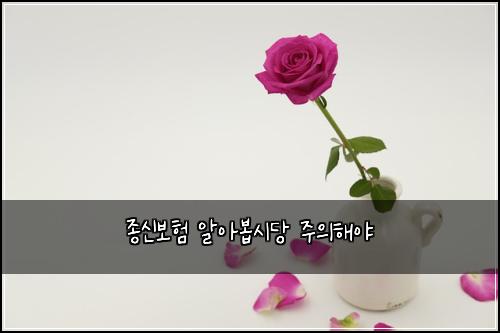 종신보험 알아봅시당  주의해야