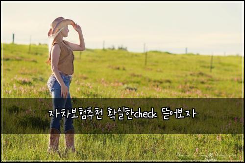 자차보험추천 확실한check 뜯어보자