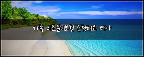 가족 의료실비보험 신청해요  태아