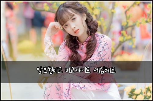암보험비교 비교사이트 세심체크