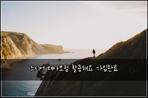 드디어 태아보험 활용해요  가입완료