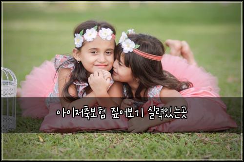 아이저축보험 짚어보기  실력있는곳