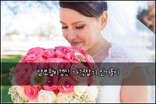 ์๋ณดํ๋น๊ฐฑ์ ๊ฐ๊ฒฉ์ก๊ธฐ ์ธ๊ธฐ๋ชฐ์ด