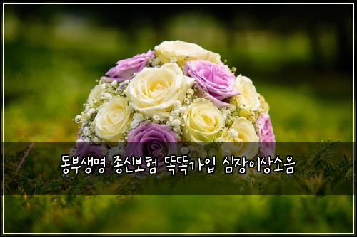동부생명 종신보험 똑똑가입  심장이상소음