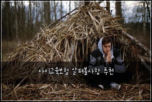 아이교육보험 살펴볼사항  추천