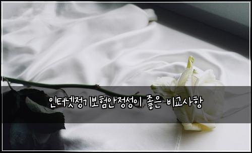인터넷정기보험안정성이 좋은 비교사항