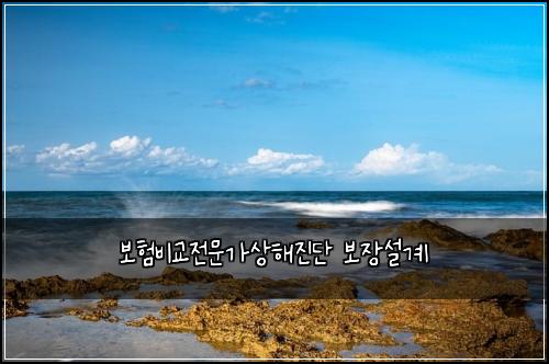 ๋ณดํ๋น๊ต์ ๋ฌธ๊ฐ์ํด์ง๋จ ๋ณด์ฅ์ค๊ณ
