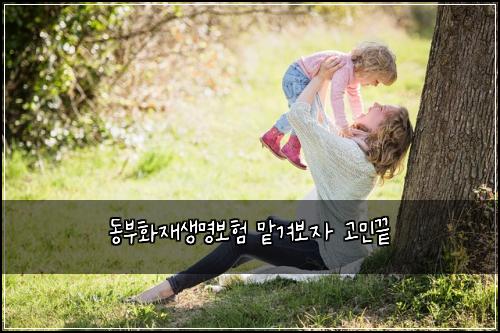 ๋๋ถํ์ฌ์๋ช
๋ณดํ ๋งก๊ฒจ๋ณด์ ๊ณ ๋ฏผ๋