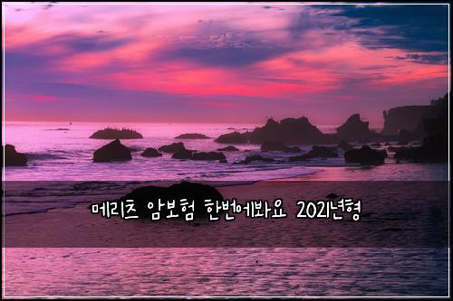 메리츠 암보험 한번에봐요  2021년형