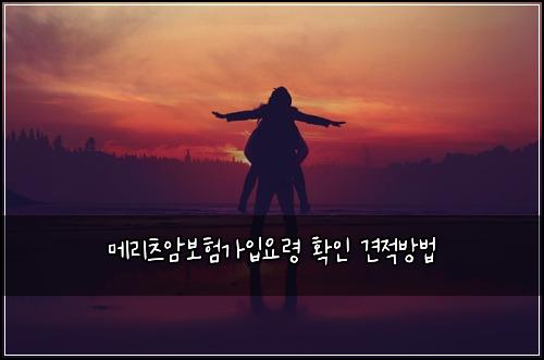 ๋ฉ๋ฆฌ์ธ ์๋ณดํ๊ฐ์
์๋ น ํ์ธ ๊ฒฌ์ ๋ฐฉ๋ฒ