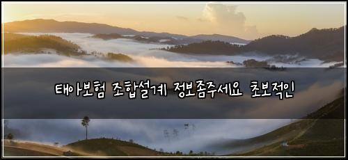 태아보험 조합설계  정보좀주세요 초보적인