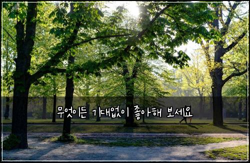 무μμ΄λ κΈ°λμμ΄ μ’μν΄ λ³΄μΈμ