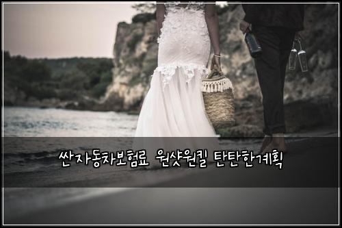 ์ผ์๋์ฐจ๋ณดํ๋ฃ ์์ท์ํฌ ํํํ๊ณํ