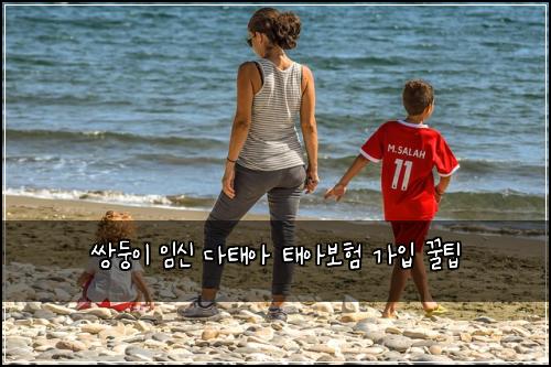 쌍둥이 임신 다태아 태아보험 가입 꿀팁
