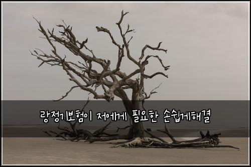 랑정기보험이 저에게 필요한 손쉽게해결