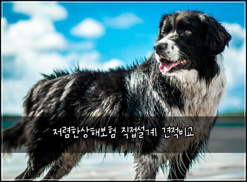 저렴한상해보험 직접설계  견적비교