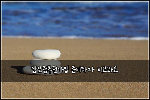 암보험추천가입 준비하자 비교봐요