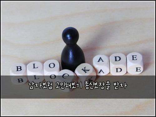 남자보험 고민해보기  종신보장을 받자