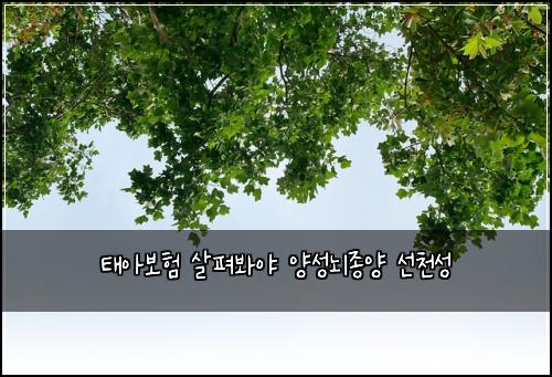 태아보험 살펴봐야  양성뇌종양 선천성