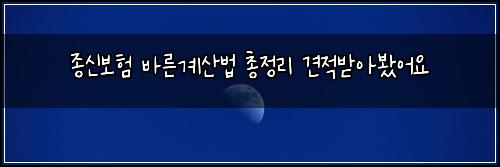 종신보험 바른계산법  총정리 견적받아봤어요