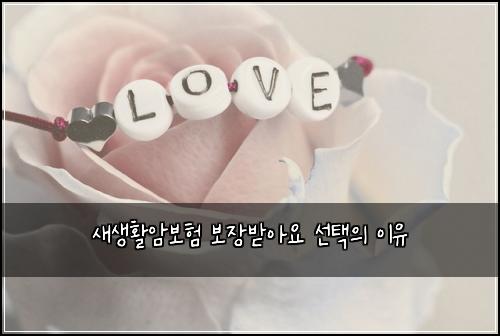 새생활암보험 보장받아요  선택의 이유