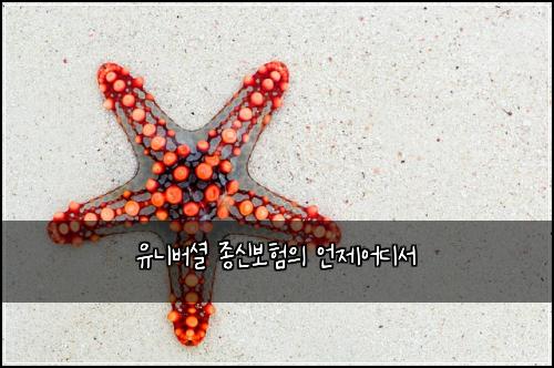 유니버셜 종신보험의 언제어디서