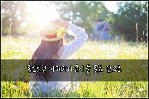 종신보험 파헤치기  굳이 들 필요 앞으로