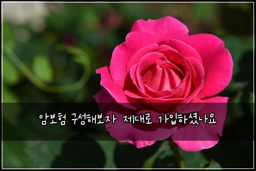 ์๋ณดํ ๊ตฌ์ฑํด๋ณด์ ์ ๋๋ก ๊ฐ์
ํ์
จ๋์