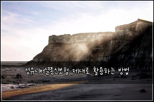 성유니버셜종신보험 제대로 활용하는 방법