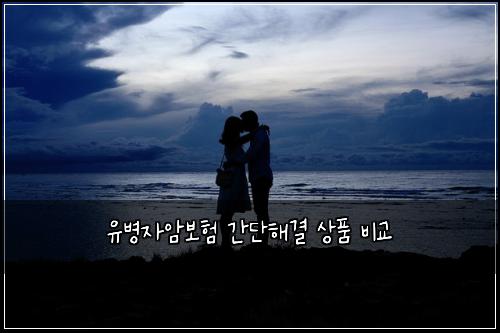 유병자암보험 간단해결  상품 비교