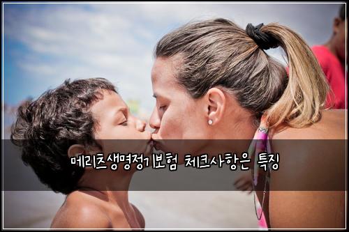 메리츠생명정기보험 체크사항은  특징