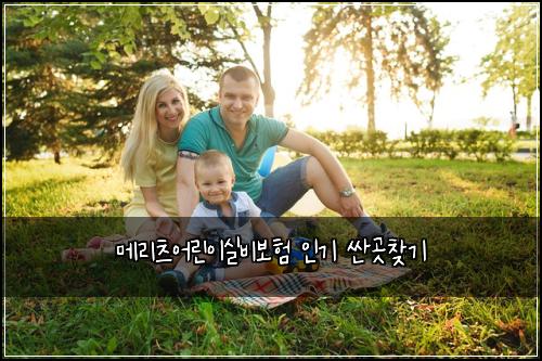 메리츠어린이실비보험 인기  싼곳찾기