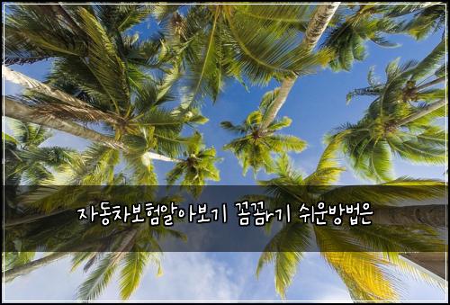 자동차보험알아보기 꼼꼼r기 쉬운방법은