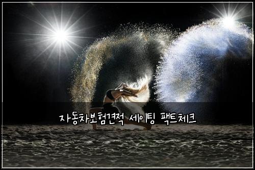 자동차보험견적 세이팅 팩트체크