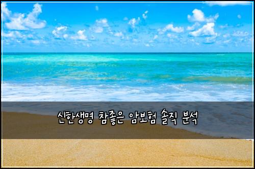 신한생명 참좋은 암보험 솔직 분석